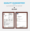 Plus Size Dress for Women Elegant Mesh Irregular Slim Long Dress 2023 Summer Casual Sleeveless Evening Party Dress 2XL 3XL 4XL