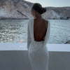 Women's Clothing 2025 Autumn New Style High-end Temperament Sexy Backless Dress Long Skirt Slim Fit Long Sleeved Dress
