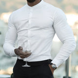 Men's  Casual Shirt Slim Fit Micro-elastic Long Sleeve Comfortable Versatile Stand Collar Tops Camisas  Men Dress Shirt