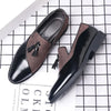 Mens Dress Shoes 2025 New Casual Leather Shoes Men Business Dress Leather Shoes Trend Versatile  Loafers  Pointed Toe Slip-On